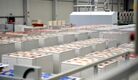 Smurfit Westrock Melle GmbH 9